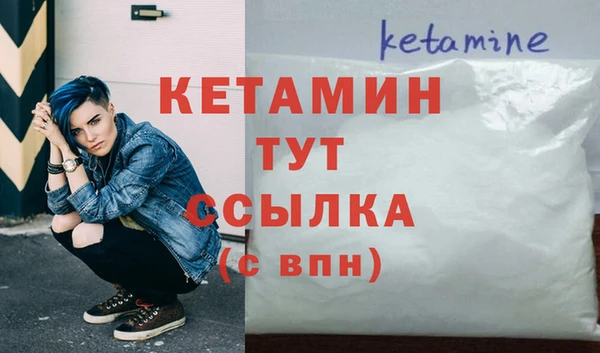 молекула духа Снежногорск