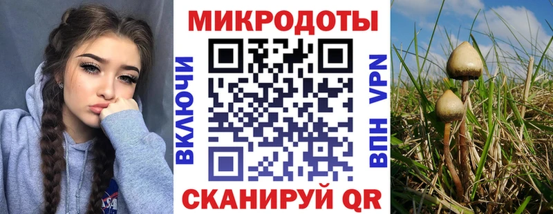 Псилоцибиновые грибы GOLDEN TEACHER  купить наркотик  Строитель 