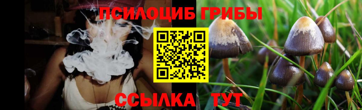 Галлюциногенные грибы MAGIC MUSHROOMS Строитель